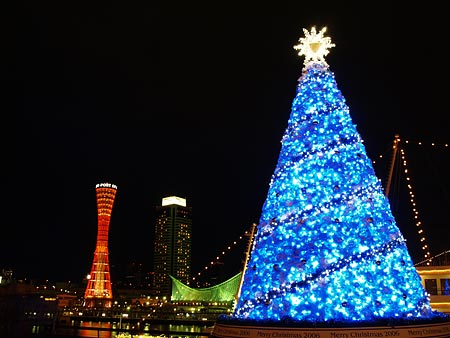 a0041508_2372272.jpg