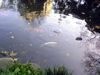 b0062214_22165768.jpg