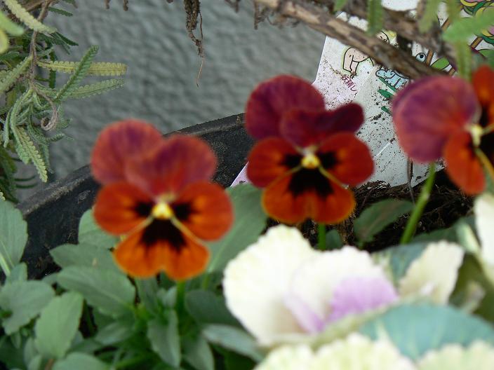 c0086014_2282671.jpg