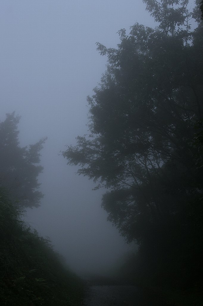 d0085715_013630.jpg