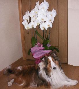 a0053420_22332021.jpg