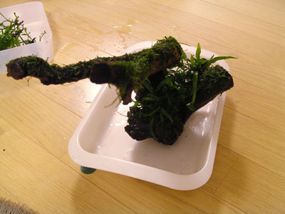 c0095824_22542628.jpg