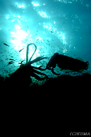 e0027447_0271073.jpg