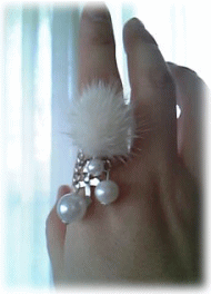 c0025852_12333814.gif