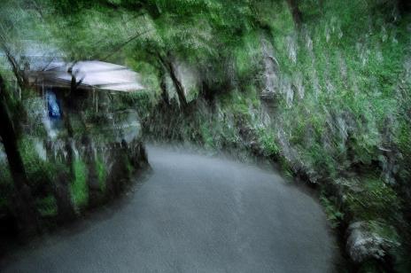 c0024558_198223.jpg