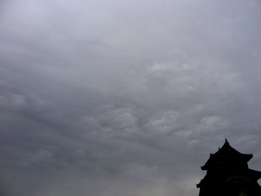 b0015260_14292695.jpg