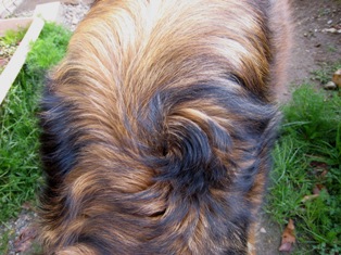 e0015964_22122568.jpg