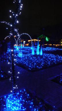 f0097271_02829.jpg