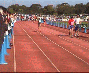 d0060984_11231382.gif