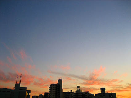 c0004193_1754110.jpg