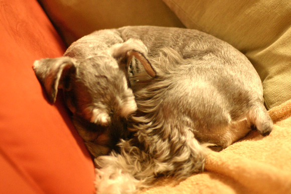 f0001895_1716731.jpg