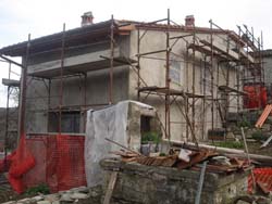 f0106597_328185.jpg