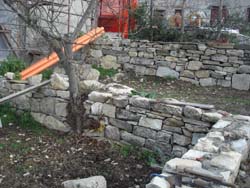 f0106597_328562.jpg