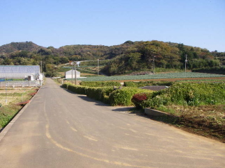 c0008598_17571291.jpg