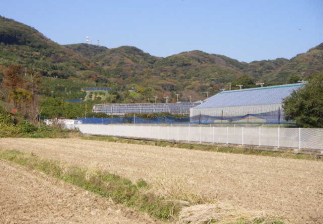 c0008598_17591466.jpg