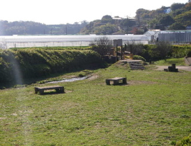 c0008598_1803435.jpg