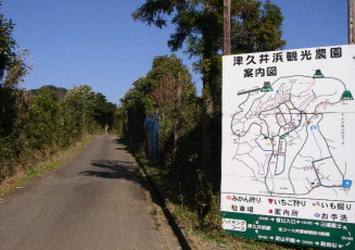 c0008598_1812165.jpg