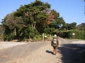 c0008598_183960.jpg