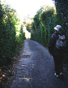 c0008598_1841291.jpg
