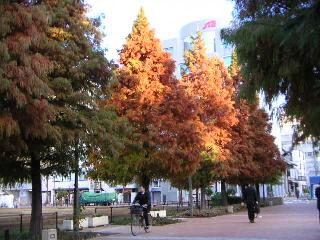 a0018200_12223857.jpg