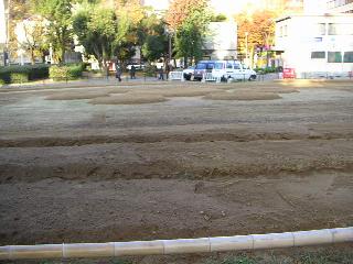a0018200_1224571.jpg