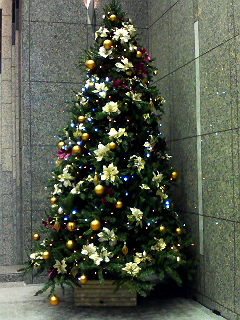 b0025604_21491795.jpg