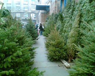 f0021504_3465618.jpg