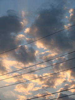 b0056108_18391633.jpg