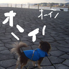 c0036617_21195725.jpg