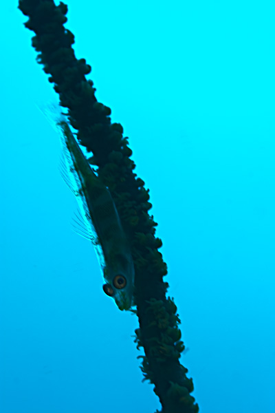 c0024719_22311651.jpg