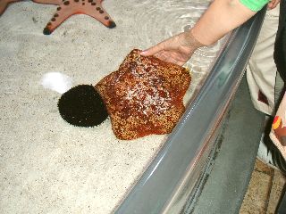 e0047322_20295449.jpg