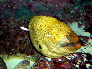 e0047322_20304340.jpg