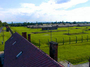 e0053327_22374186.jpg