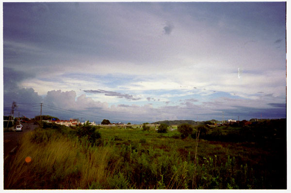 d0103236_2011509.jpg