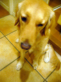 e0038241_104387.jpg