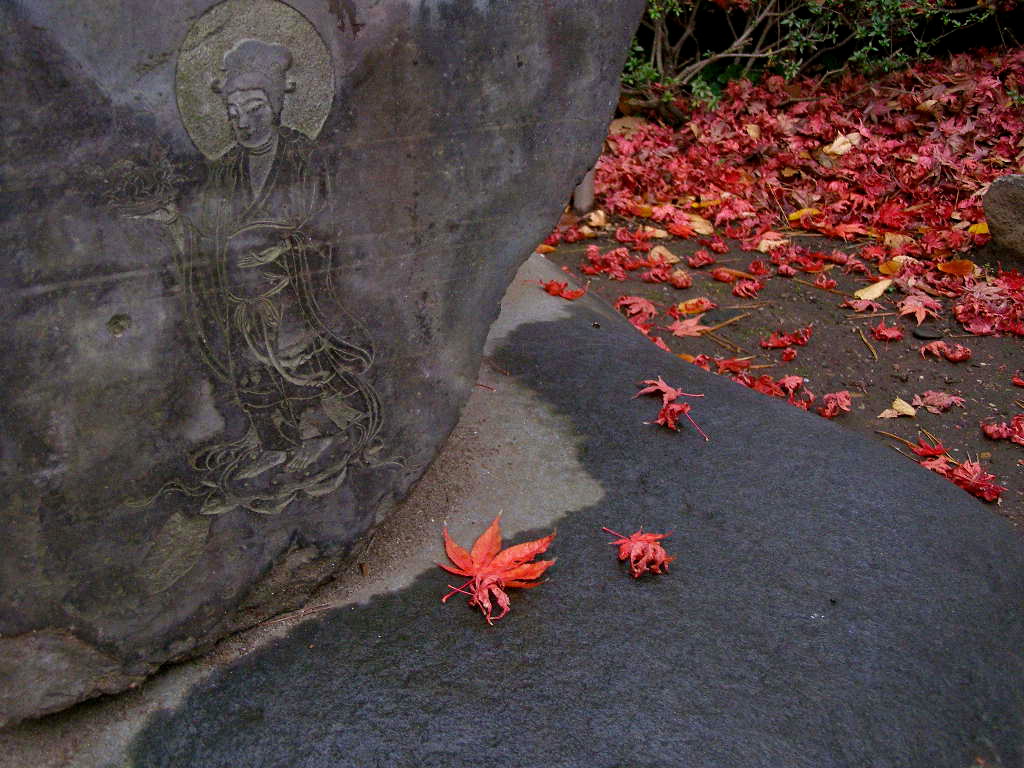 e0064158_1134771.jpg
