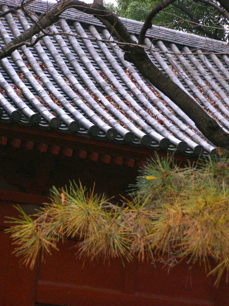 e0064158_1142366.jpg