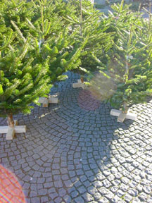 f0032969_0343550.jpg