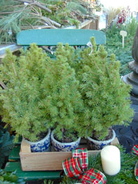 f0032969_0571978.jpg