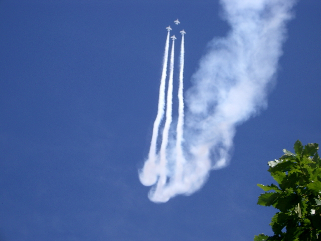 e0100772_2343295.jpg