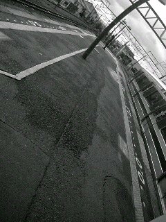 f0100480_11465124.jpg