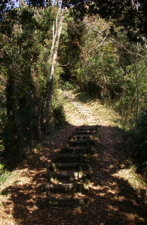 c0008598_9234428.jpg