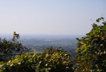 c0008598_9363912.jpg