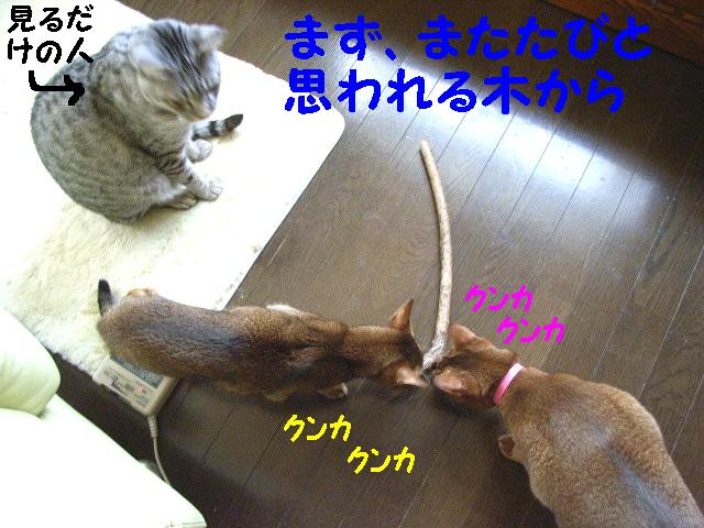 d0081025_19102972.jpg