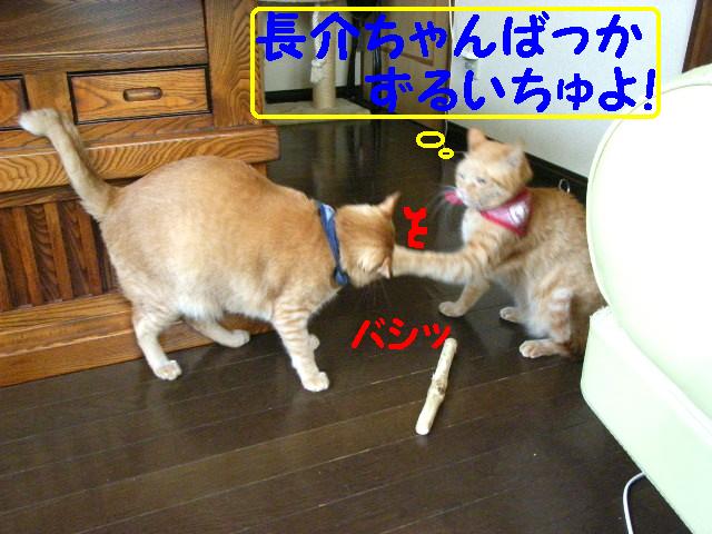d0081025_19165896.jpg