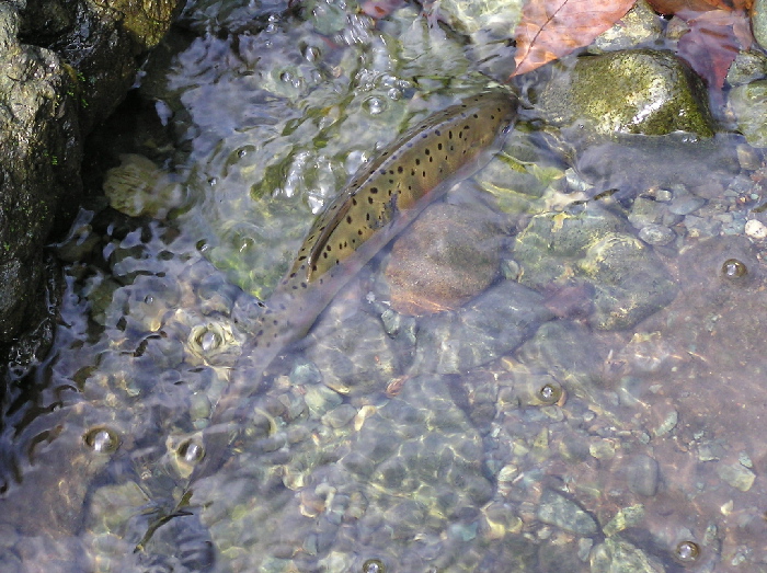 f0103126_2215174.jpg
