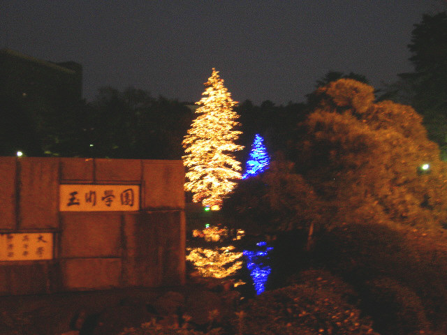 d0085228_21244411.jpg