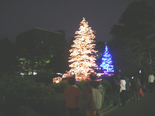 d0085228_2126788.jpg