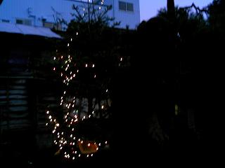 a0082629_19512847.jpg