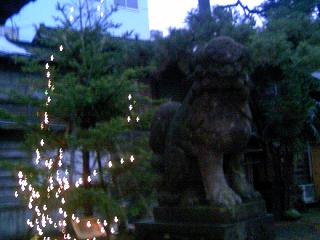 a0082629_19521666.jpg